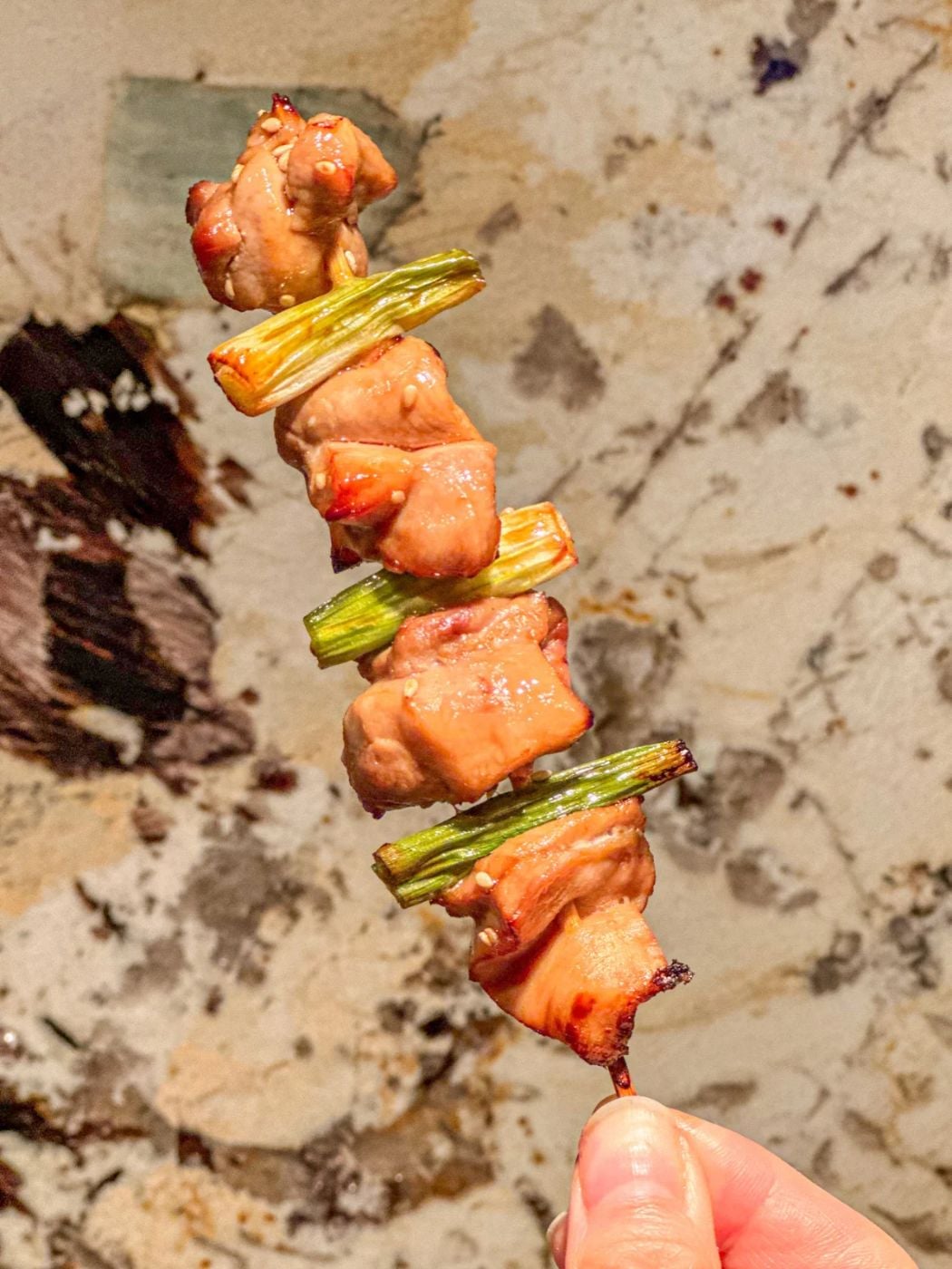 Chicken skewers with green onions and teriyaki sauce.