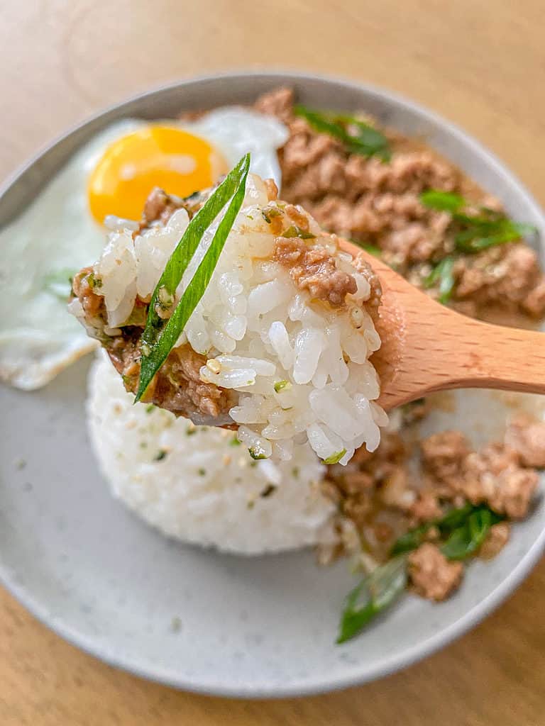Braised Minced Pork Over Rice green onions spoon