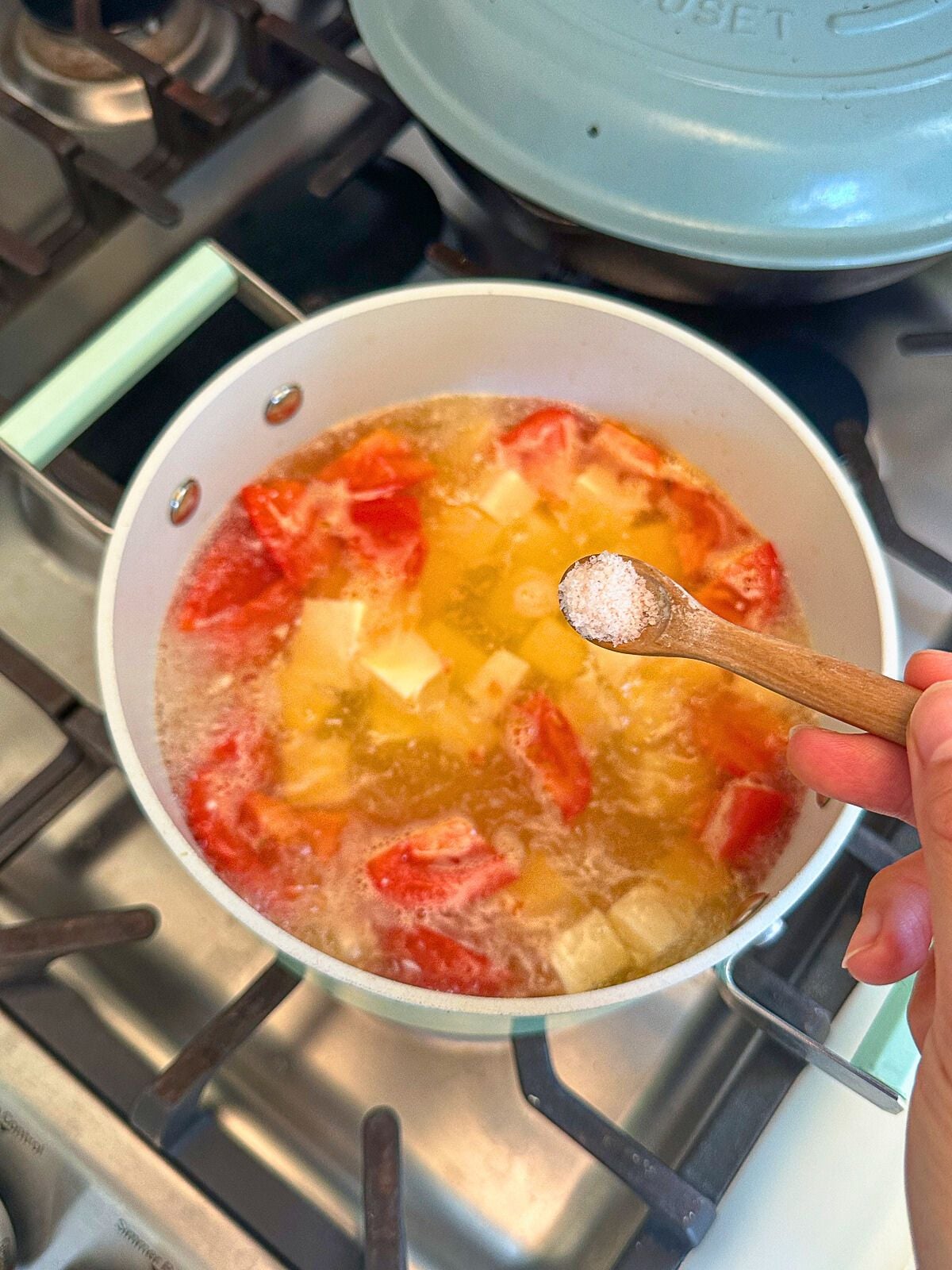 Adding salt to a pot of tomatoes and tofu simmering in water.