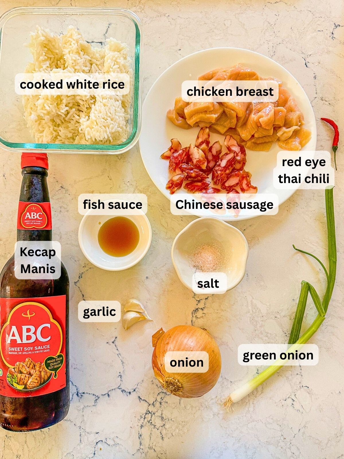 Ingredients for Nasi Goreng laid out: cooked white rice, chicken breast, Chinese sausage, kecap manis, fish sauce, red Thai chilies, garlic, onion, green onion, and salt.