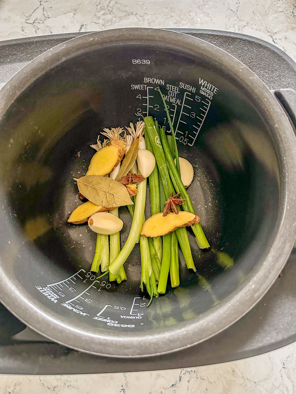 Green onions, sliced ginger, garlic, bay leaves and star anise in a pot.
