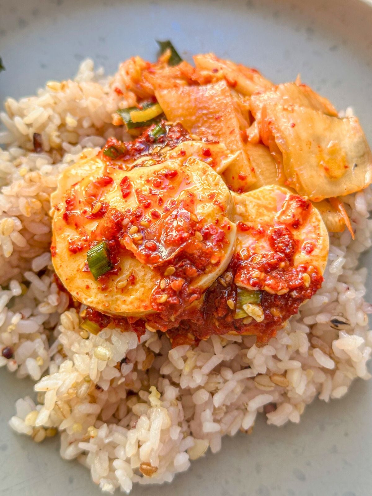 Sliced silken tofu in a spicy, savory Korean sauce topped with green onions and sesame seeds, served over rice.