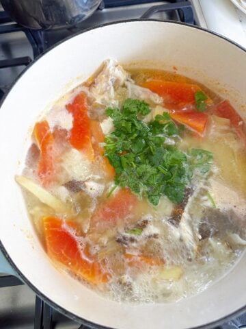 A pot with boiling water, fish bones, sliced ginger and papaya topped with cilantro.